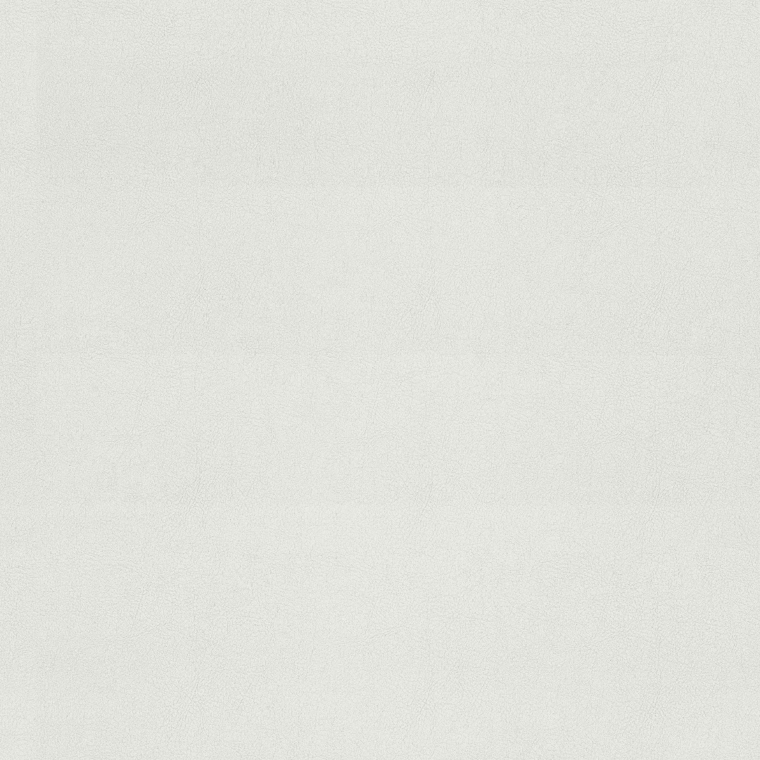 Afbeelding van Valencia 8032 Weiss FR
