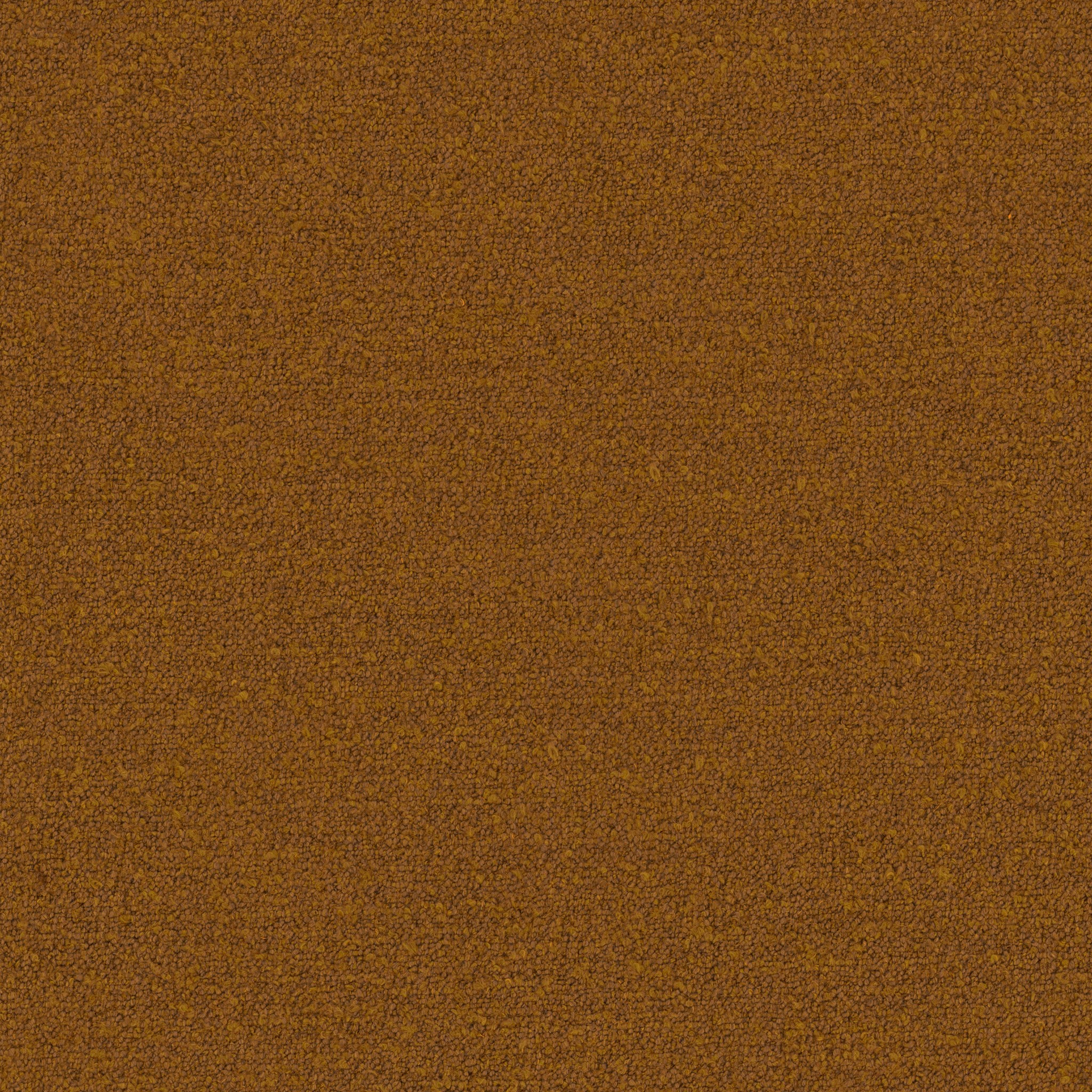 Afbeelding van Clarity 19