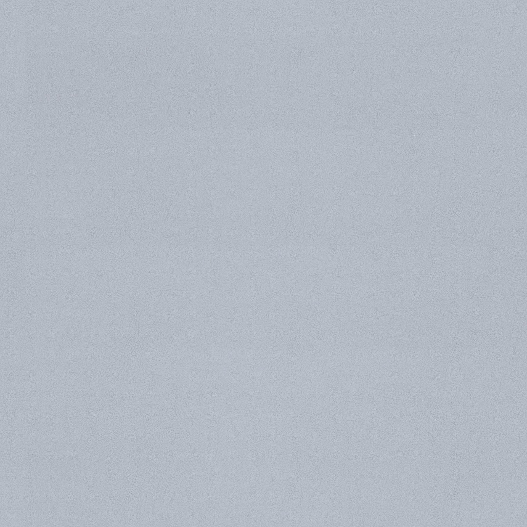 Afbeelding van Valencia 4040 Auster FR