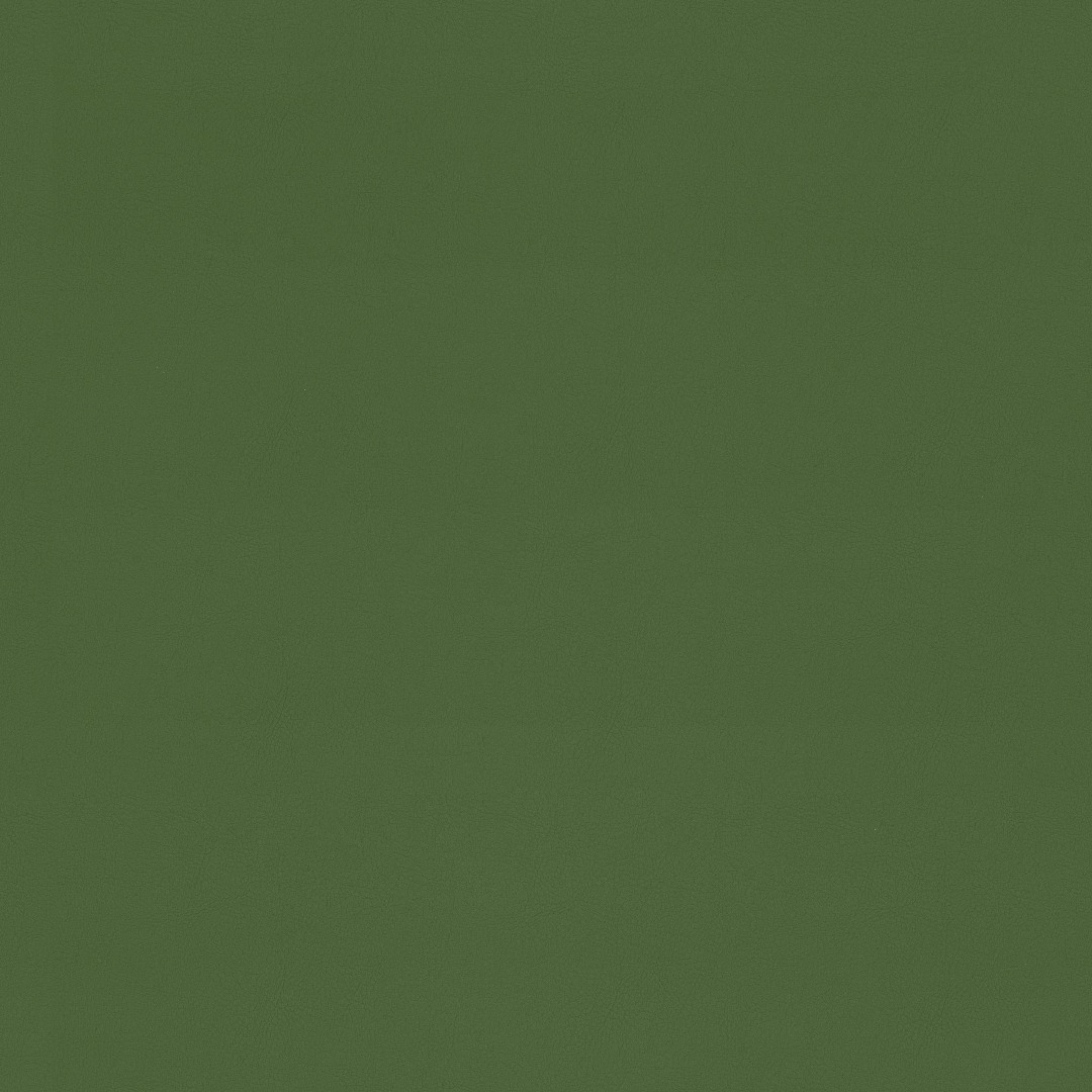 Afbeelding van Valencia 5001 Olive FR
