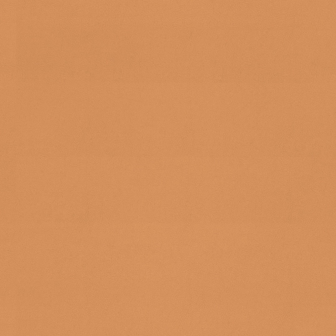 Afbeelding van Valencia 6013 Melone FR